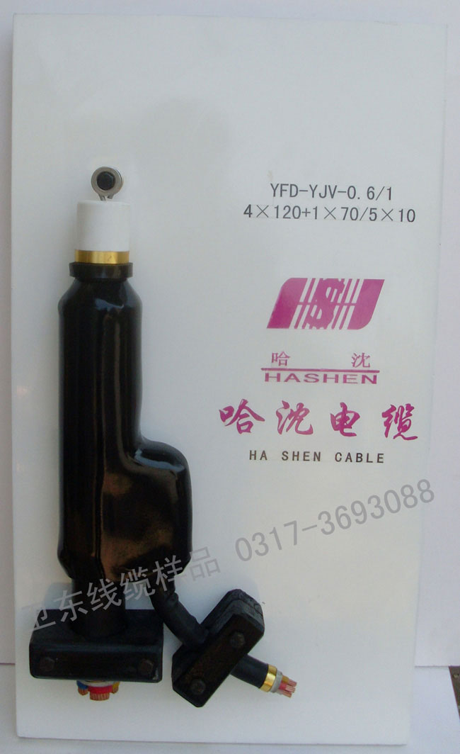 预分支样品