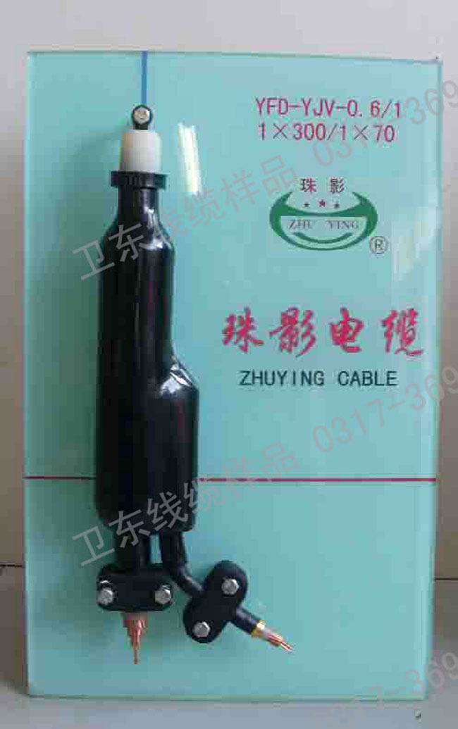 预分支样品